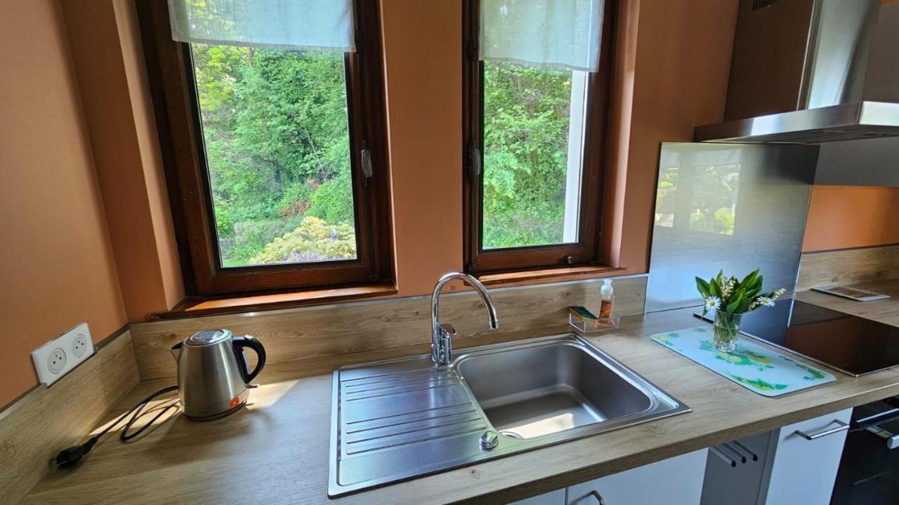 Villa La Moraine Thonon-les-Bains Extérieur photo