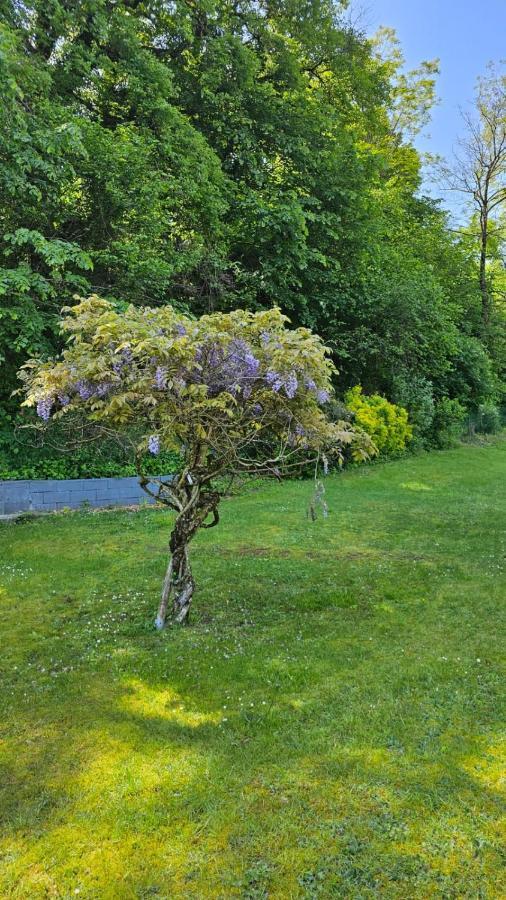 Villa La Moraine Thonon-les-Bains Extérieur photo