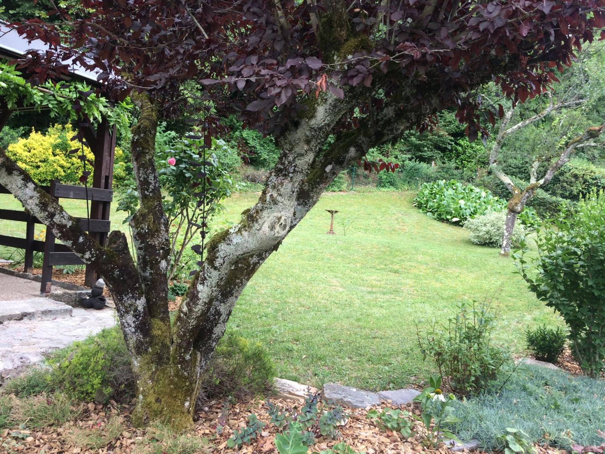 Villa La Moraine Thonon-les-Bains Extérieur photo